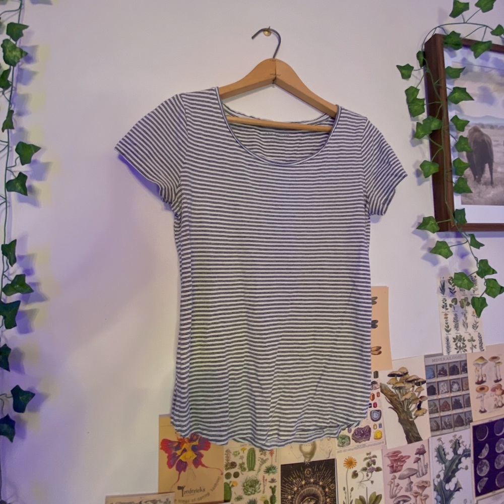 Ann Taylor t shirt